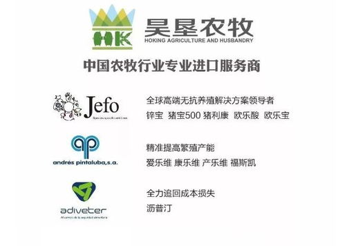 昊垦农牧调查 如何解决2019年家禽养殖业面临的最大挑战