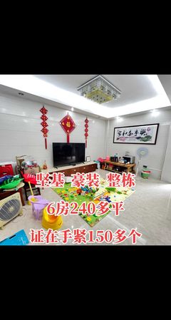 走进「龙哥探房」 用精准信息咨询解锁置业新体验